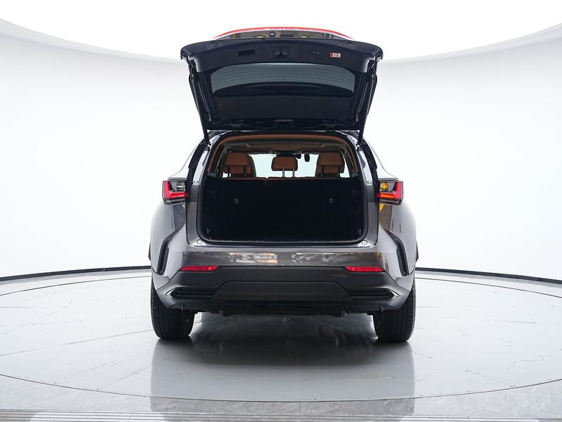 Lexus Lexus NX PHEV 2023