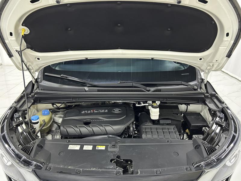 Trumpchi GAC Trumpchi M6 2019