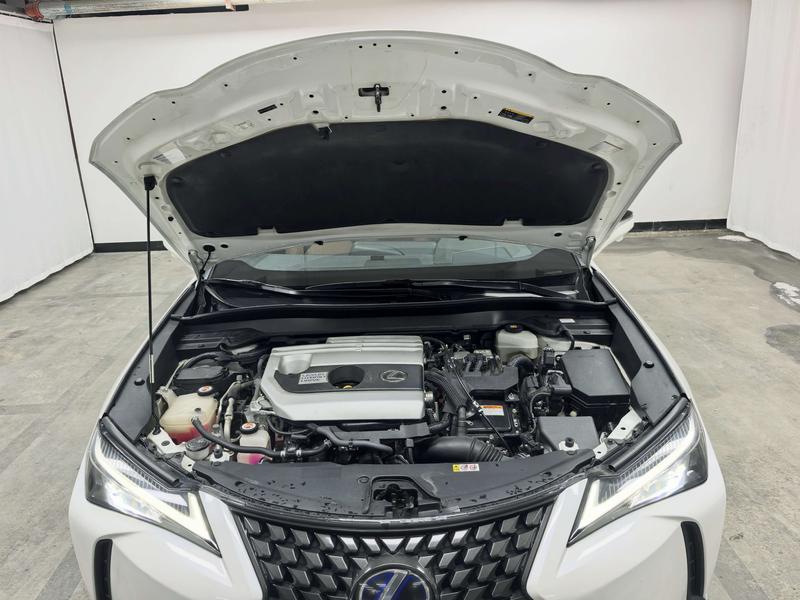 Lexus Lexus UX 2019