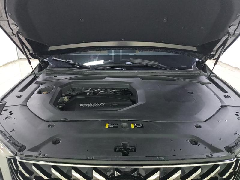 Trumpchi Trumpchi GS8 2024