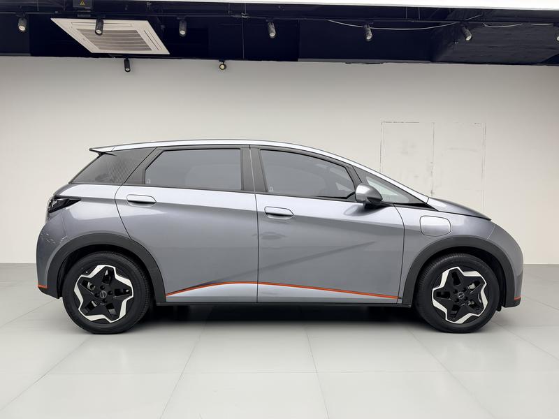BYD dolphin 2021