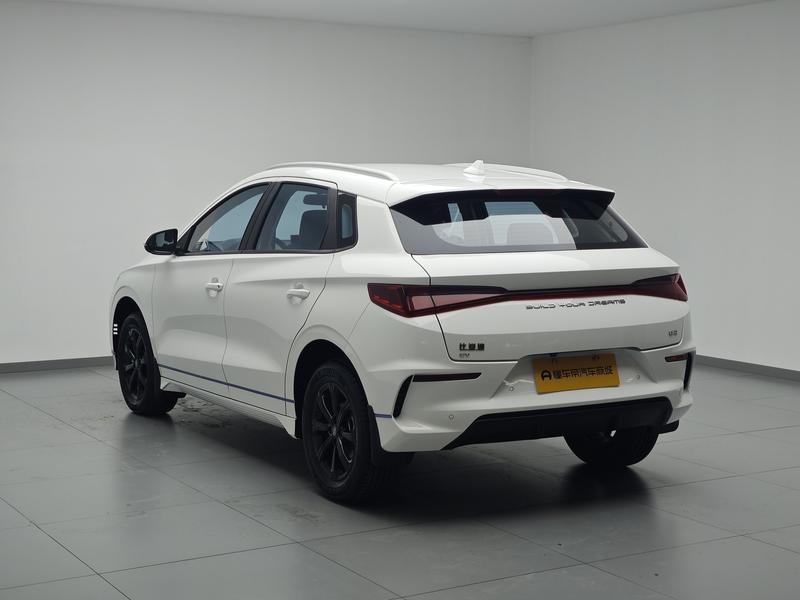 BYD BYD e2 2021