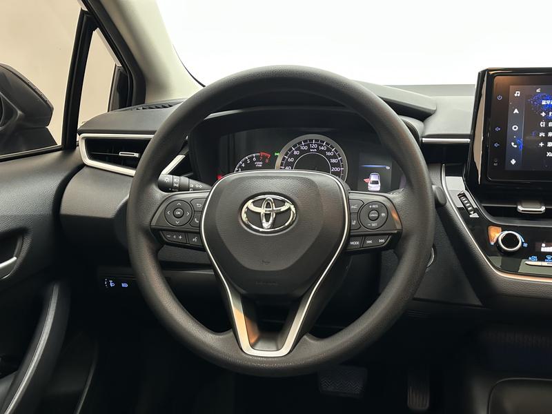 Toyota Asian lion 2021