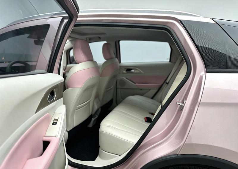 Geometry Geely Geometry E Firefly 2024