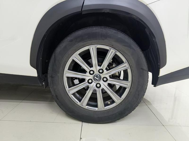 Lexus Lexus NX 2020