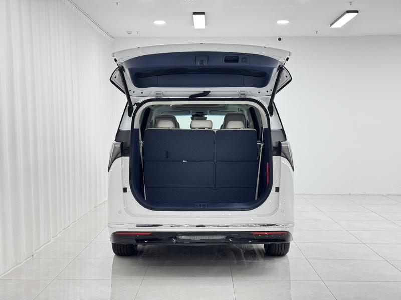 Buick Buick GL8 PHEV 2024