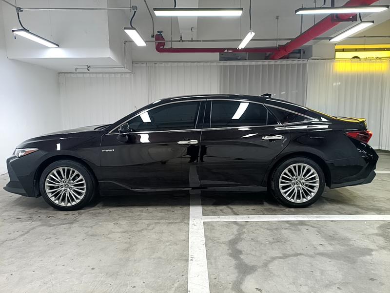 Toyota Asian Dragon 2019