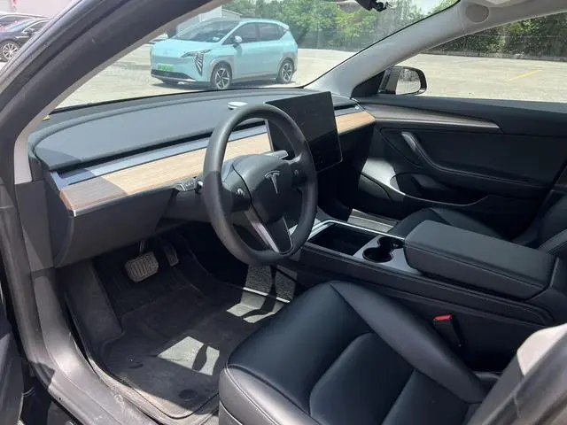 Tesla Model 3 Rear-wheel drive version