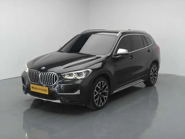 BMW BMW X1 xDrive25Li Exclusive type