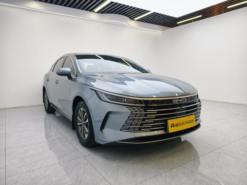 BYD Destroyer 05 2024