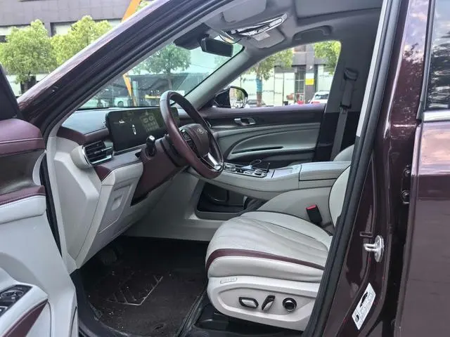 Ford Lingyu EcoBoost 225 7-seater Premium Collar PLUS (2/2/3)