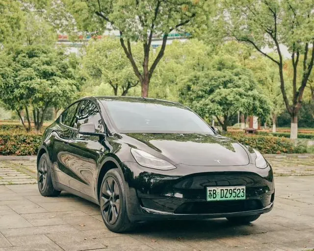 Tesla Model Y Rear-wheel drive version