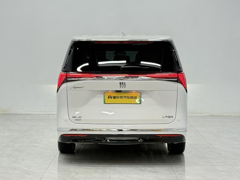 Buick Buick GL8 PHEV 2024