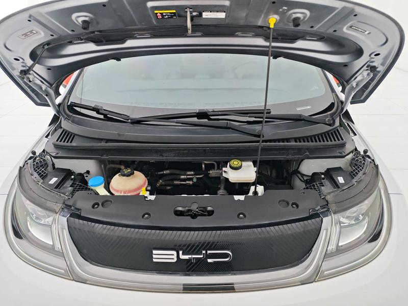 BYD dolphin 2021