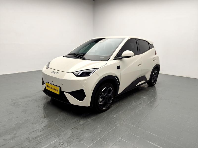BYD seagull 2025