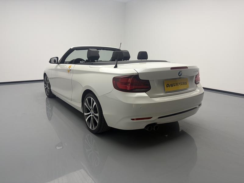 BMW BMW 2 Series (imported) 2019