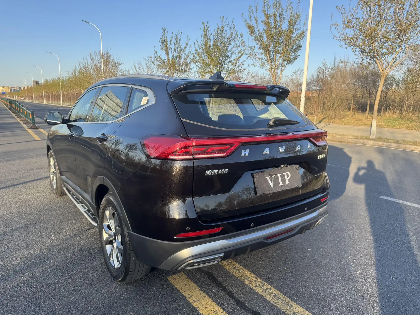 Haval Haval H6 National Tide Version 1.5T Automatic Champion Version