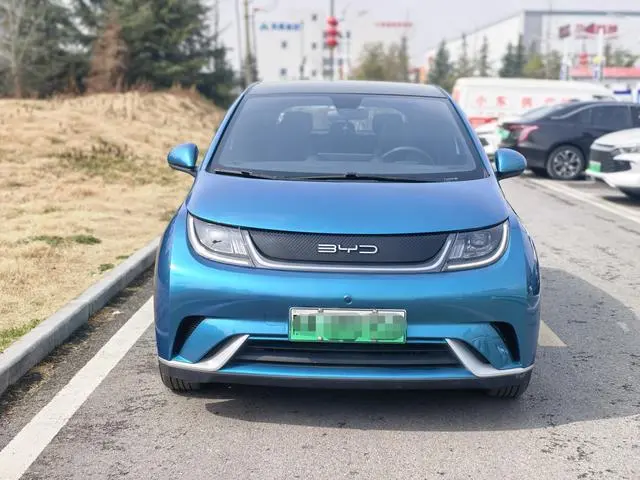 BYD dolphin Fashion edition