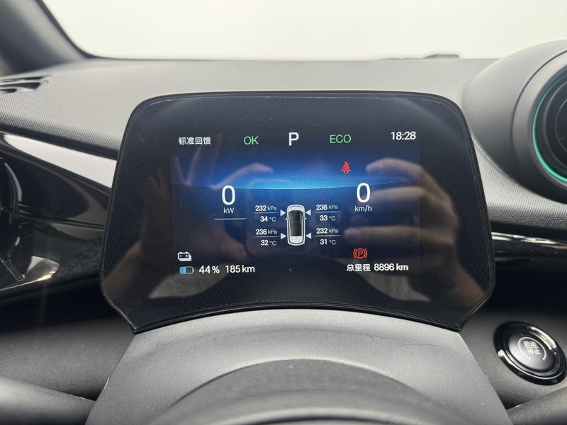 BYD dolphin 2025