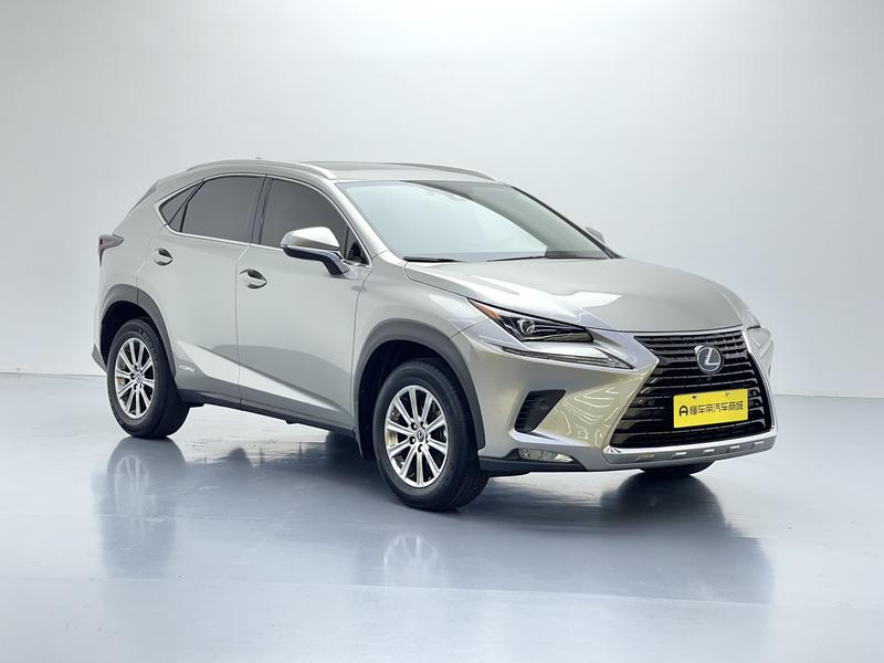 Lexus Lexus NX 2020