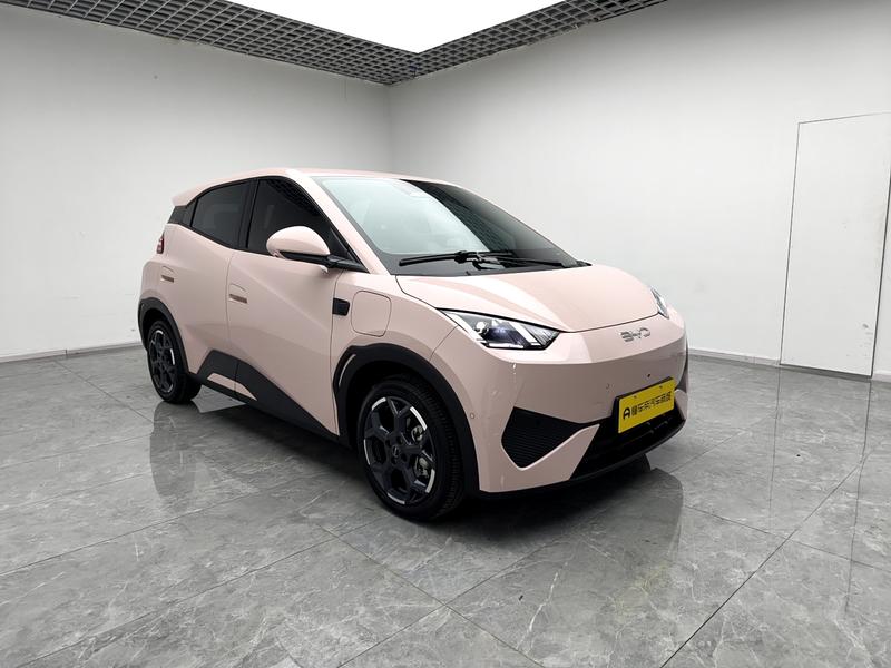 BYD seagull 2025