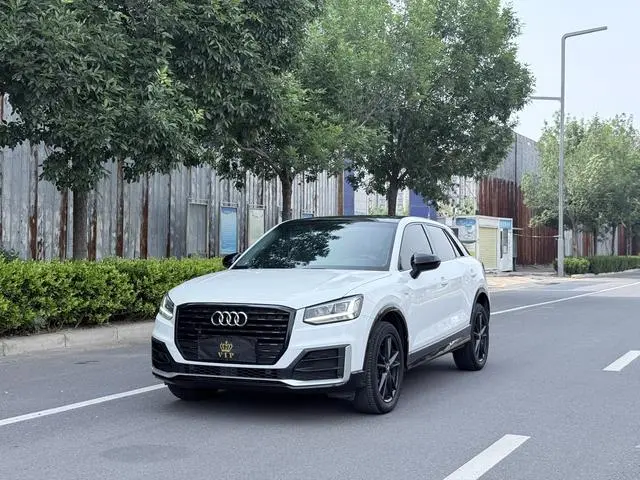 Audi Audi Q2L 35TFSI aggressive dynamic type