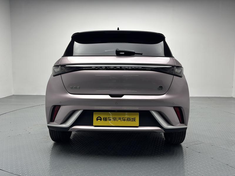 BYD dolphin 2023