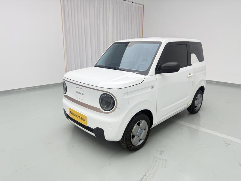 Geely Galaxy panda 2024