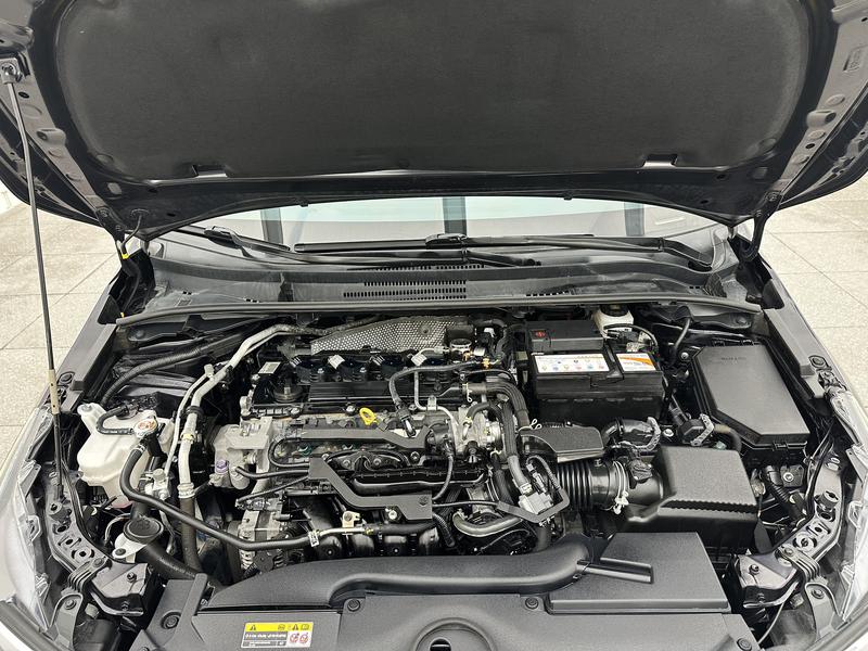 Toyota Asian lion 2021