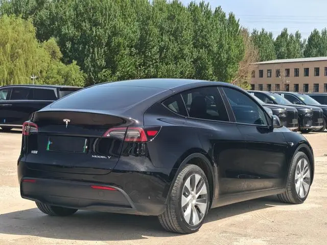 Tesla Model Y Rear-wheel drive version