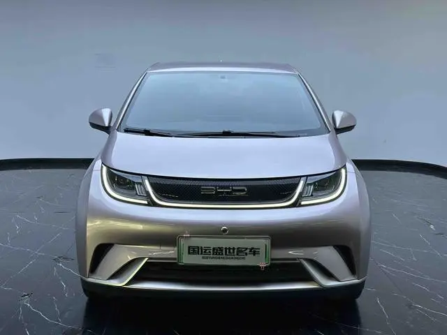 BYD dolphin Free version