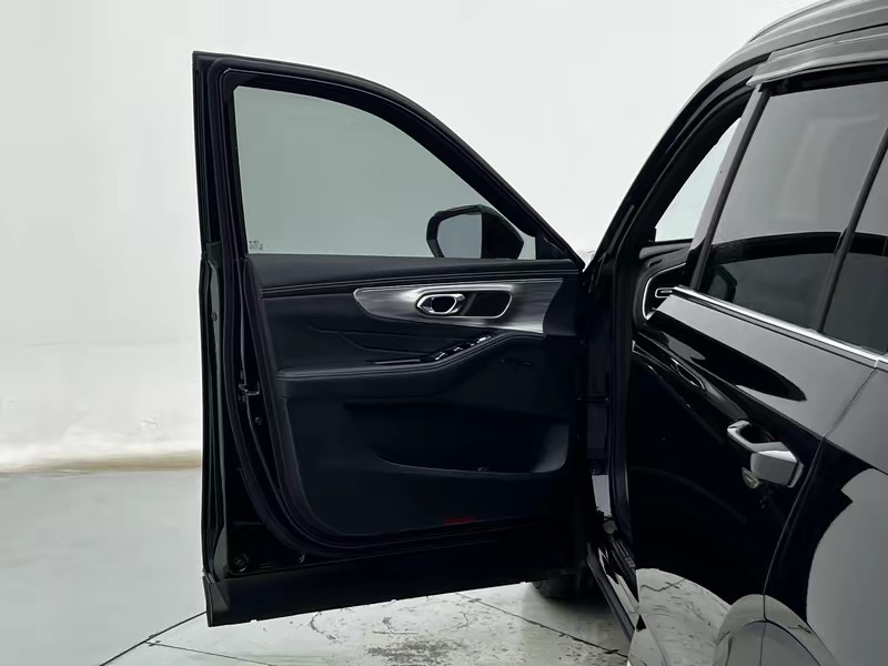 Trumpchi Trumpchi GS8 2024