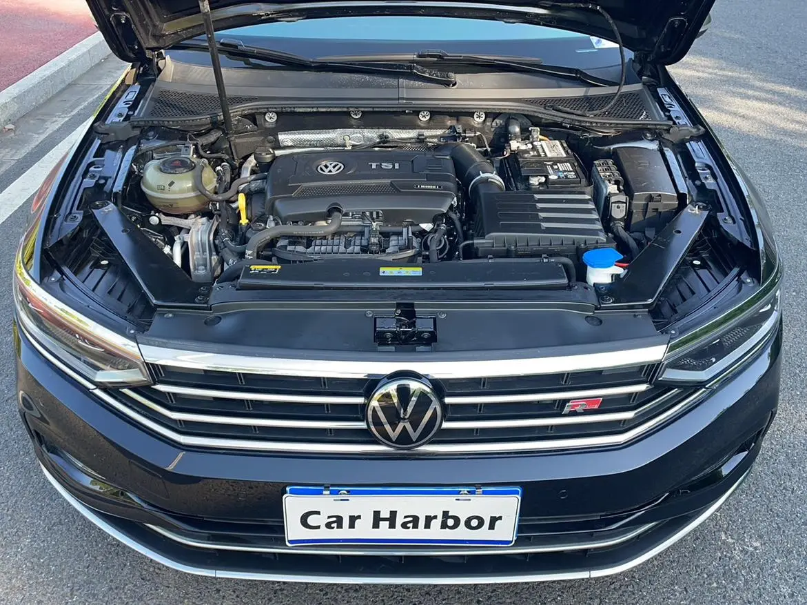 Volkswagen Magotan 380TSI DSG Luxury