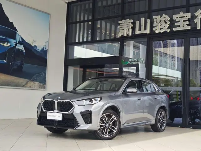 BMW BMW X2 (imported) sDrive25i M sports suit