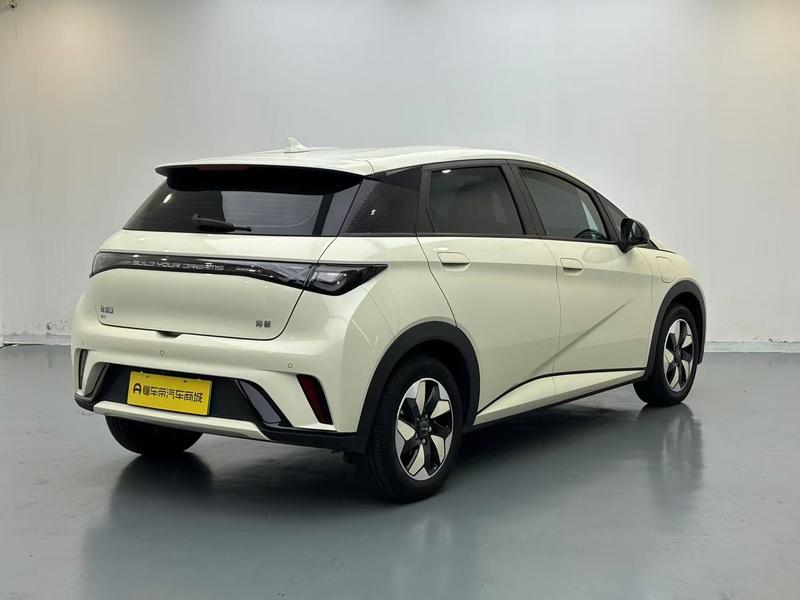 BYD dolphin 2025