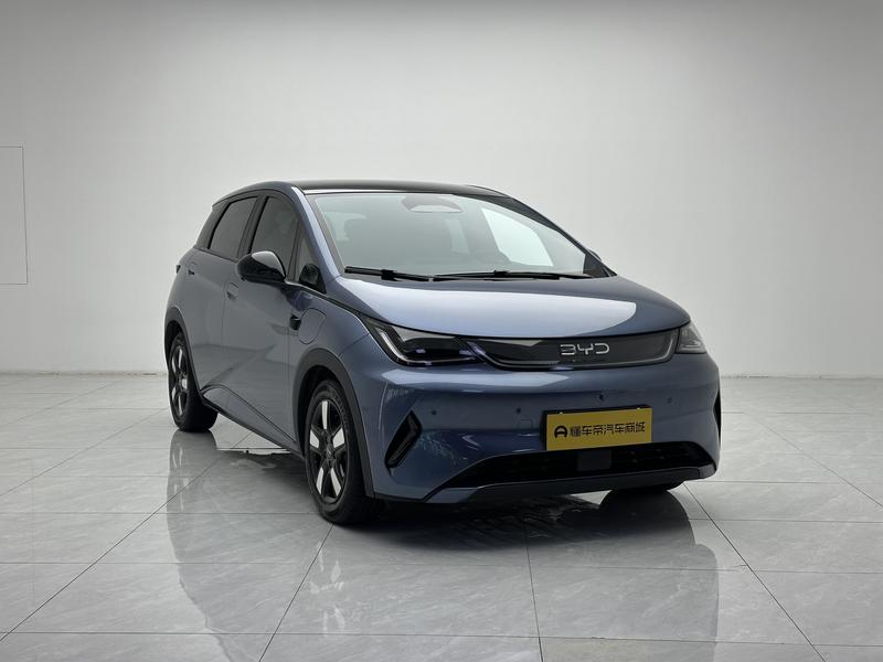 BYD dolphin 2025