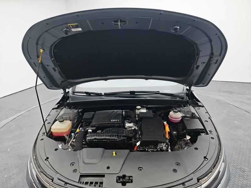 BYD Destroyer 05 2024