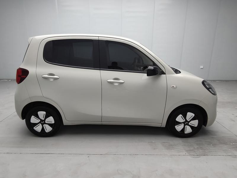 Wuling Wuling Hongguang MINIEV 2025