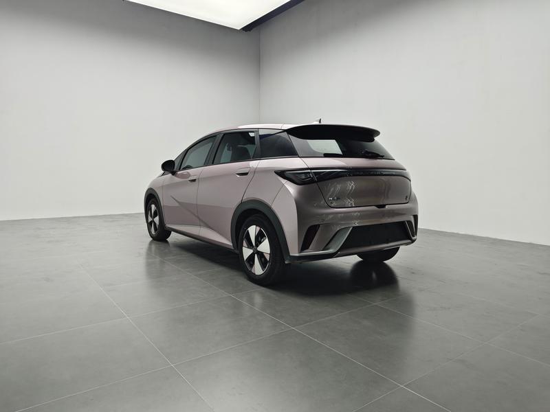 BYD dolphin 2023