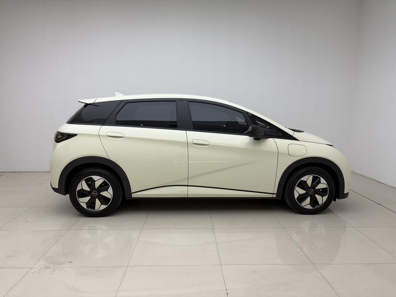 BYD dolphin 2024