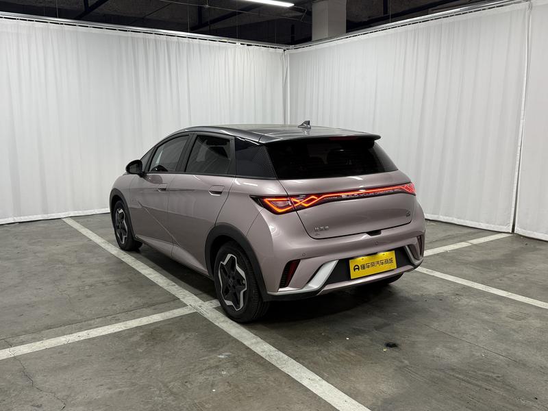 BYD dolphin 2021