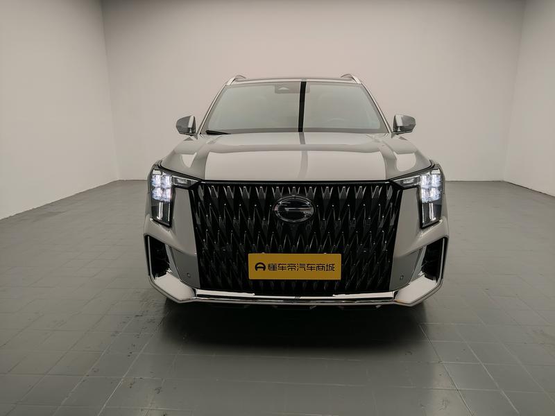 Trumpchi Trumpchi GS8 2024
