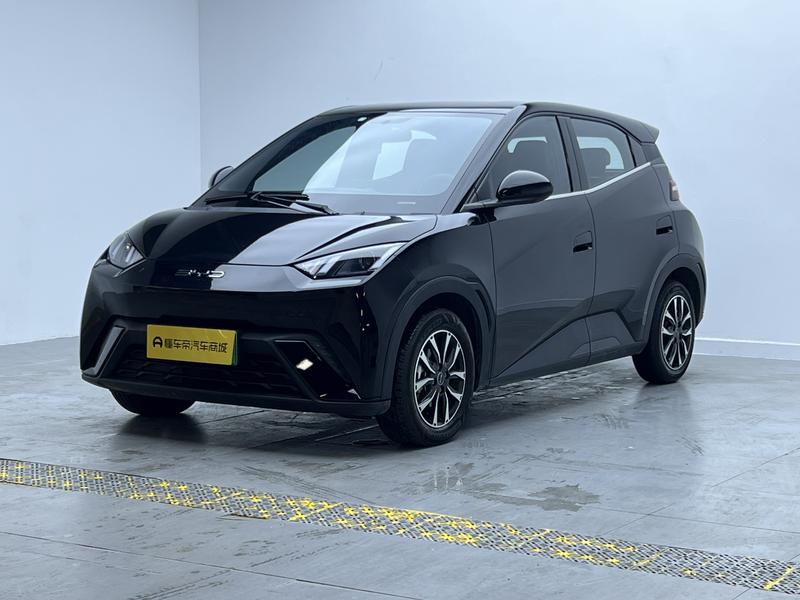 BYD seagull 2024