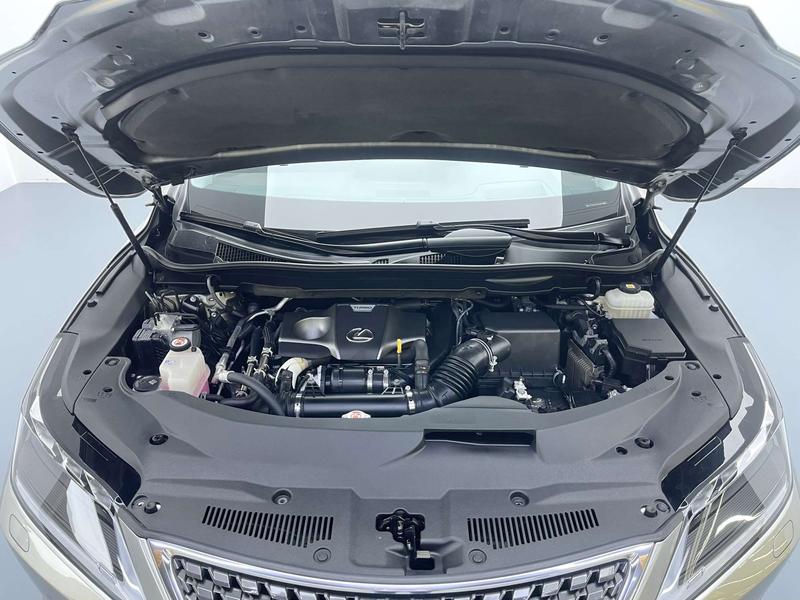 Lexus Lexus RX 2020