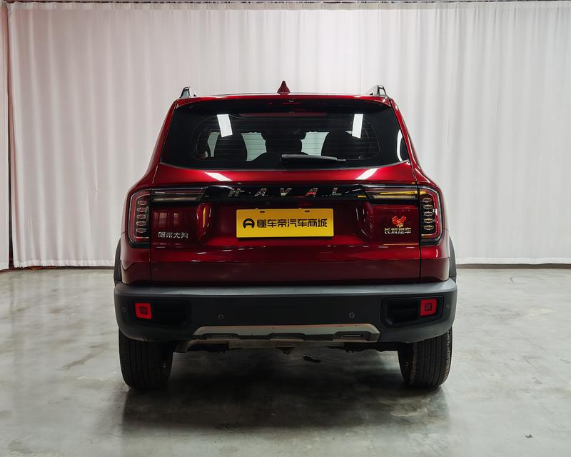 Haval Haval Big Dog 2021