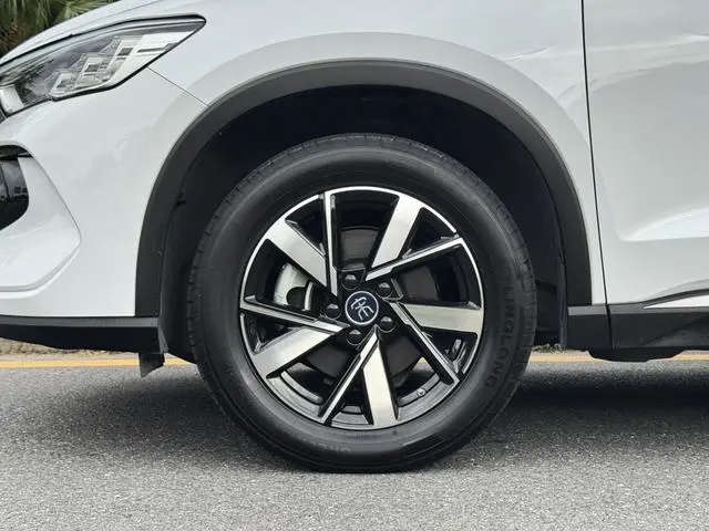 BYD Song Pro DM DM-i Champion Edition 71km Leading Type