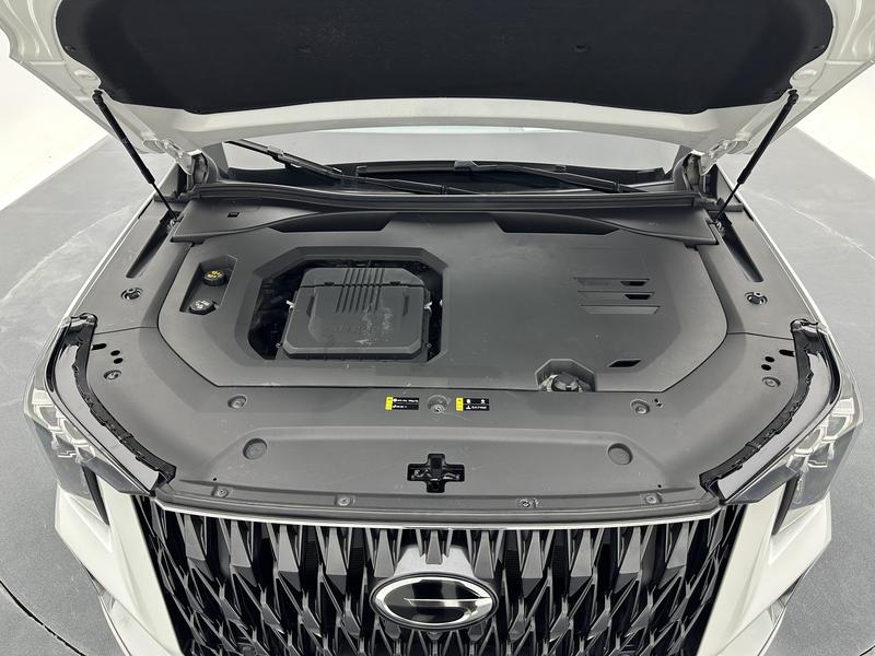 Trumpchi Trumpchi GS8 2022