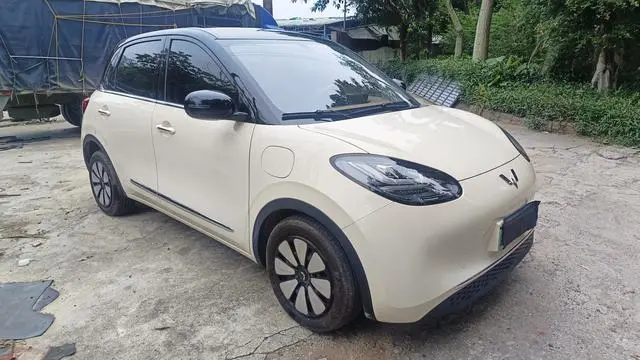 Wuling Wuling Bingguo 333KM consonant interconnection model