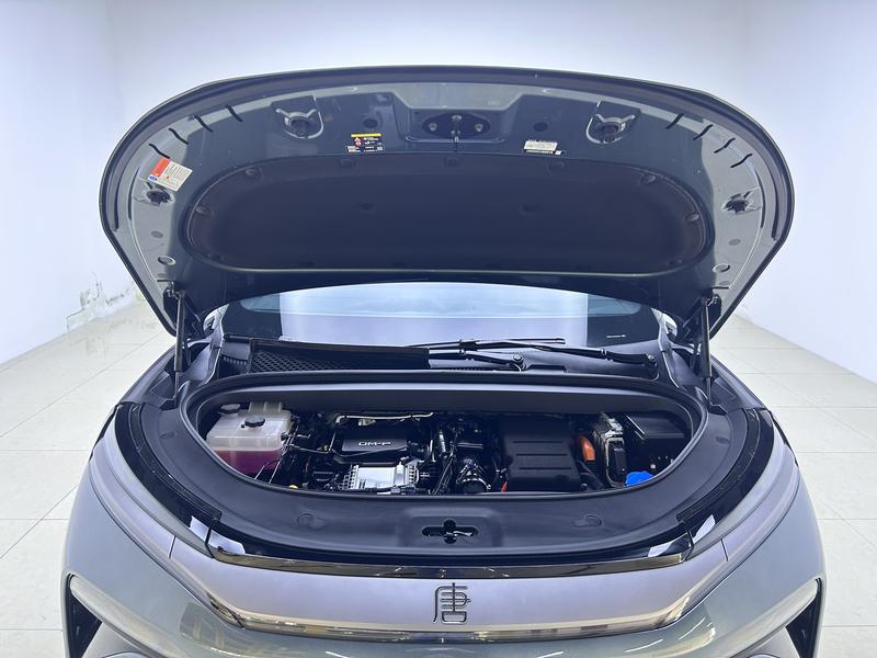 BYD Tang L DM 2025