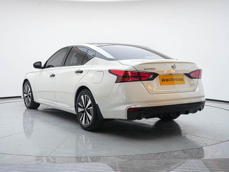 Nissan Sounds of Nature 2021